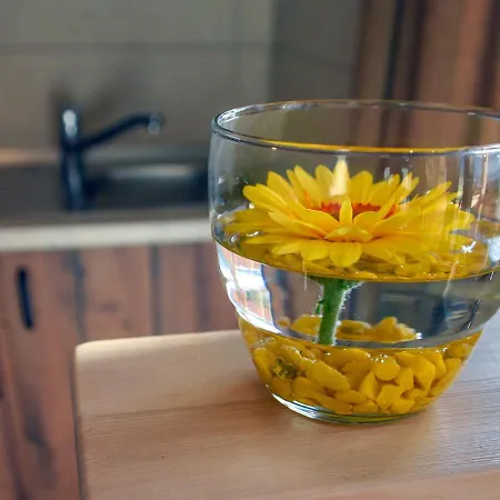 Panorama Glamping Vipavska Dolina דירה