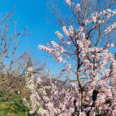 Panorama Glamping Vipavska Dolina * Dobravlje