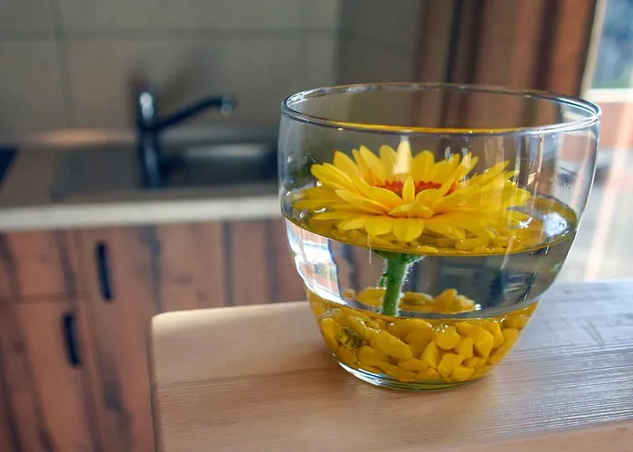 Panorama Glamping Vipavska Dolina Apartment